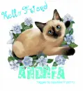 Andrea