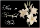 Have a beautiful week