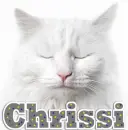 Cat-Chrissi