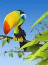 parrot