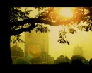 Sunny
