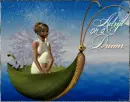 Adrift on a dream