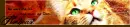 Fireheart