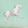 My flying horse