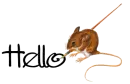 Hello Mouse