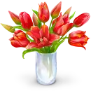 Buquet of Tulips