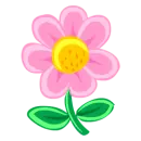 Pink Flower