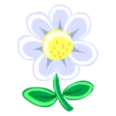White Flower