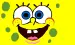 Sponge Bob close up