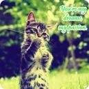 My Passion