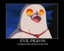 Evil Pigeon