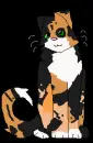 Calico Cat