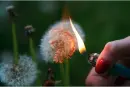 burnin'