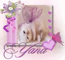 Yana