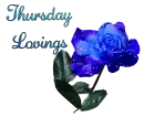 Thursday Lovings with blue rose