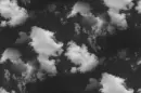 Black and white background