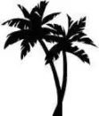 Palm tree