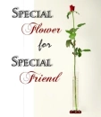 Special friend