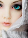 beauty