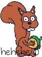 squirrels