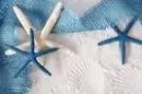 seastar