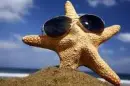 cooool seastar!!!