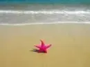 PATRICK!!!!