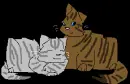 Kitties