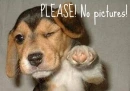 Doggy :)