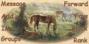 horse contact table