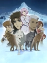 wolfs rain