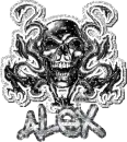 alex glitter skull