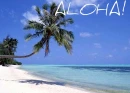 Aloha Beach