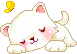 sleepy cat 