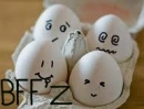 eggizz!!
