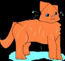 Wet kitty
