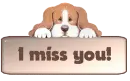 I miss you puppy