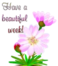 Have a beautiful day                                                                                                                                        a beautiful day