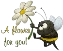Honey bee with a flower