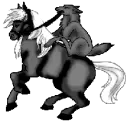 Wolf and Stallion