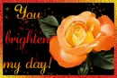 You brighten my day