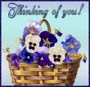 Thinking of you