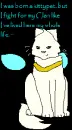 Kittypet