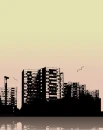 Rose City Background