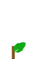Flower Growing