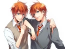 Weasly Twins