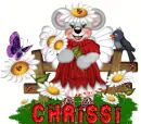 chrissi