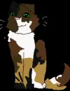 kitty