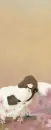 ECHI