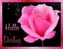 Hello Darling